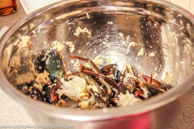 Bundaberg Mud Crab, in the bowl